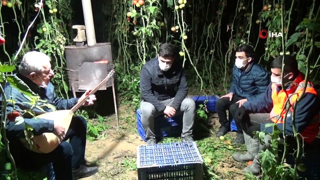 Antalya’da Seralarda Sazlı Sözlü ’Don’ Nöbeti Başladı iha