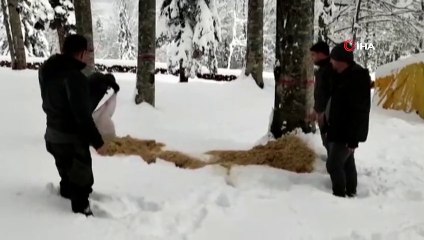 Off-road ekipleri, yaban hayvanları için tırmandı