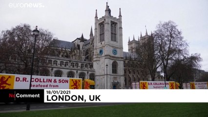 'Brexit carnage': UK fishing sector protests extra red tape outside EU