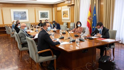 DISCREPANCIAS ENTRE GOBIERNO Y AUTONOMÍAS ACERCA DE LAS MEDIDAS A ADOPTAR FRENTE A LA PANDEMIA