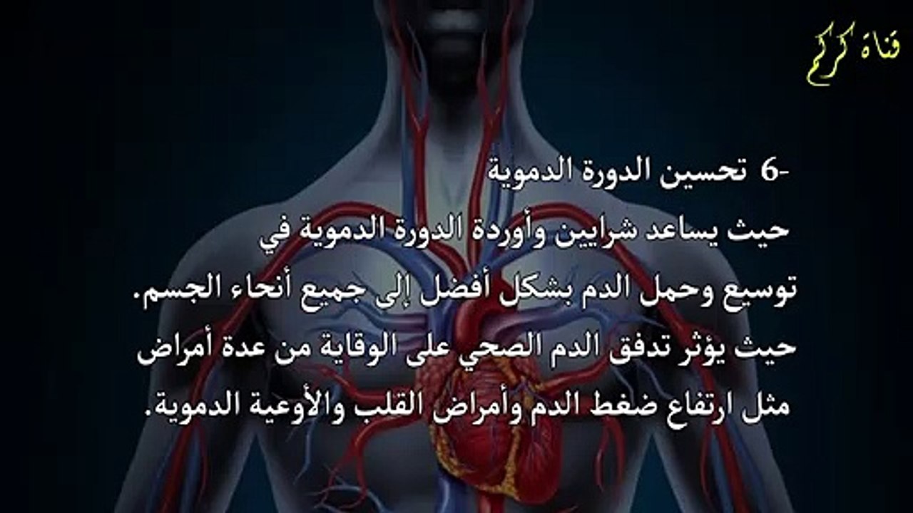 10 فوائد سحرية تجعلك تشرب الماء الدافئ كل يوم(720P_HD)