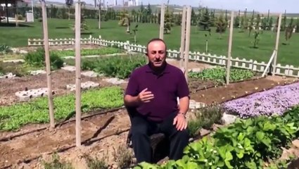 Bakan Çavuşoğlu'ndan "Dünya Çiftçiler Günü" mesajı