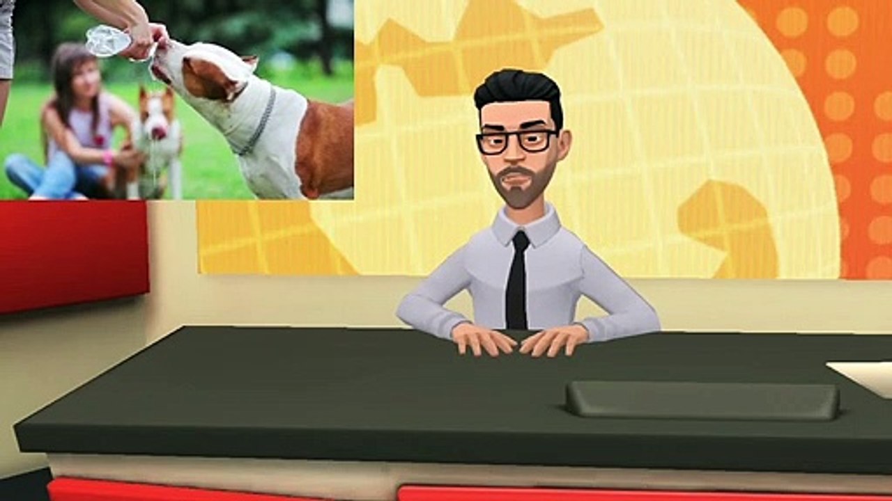 Types of Water Bottles | Top Info Worldwide | Mineral Water | Side Effects of Plastic Bottles