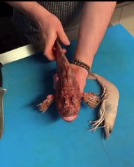 BALIK BÖYLE YENİR ...