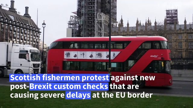 'Brexit carnage': Scottish fishermen protest outside Westminster over export disruption