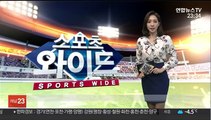 4년 더…이기흥 대한체육회장 재선 성공