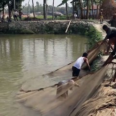 Fisher Man Catching  fish with big net  #fishing