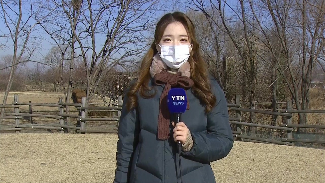 [날씨] 낮 동안 영하권 추위 계속...맑고 공기 깨끗 / YTN