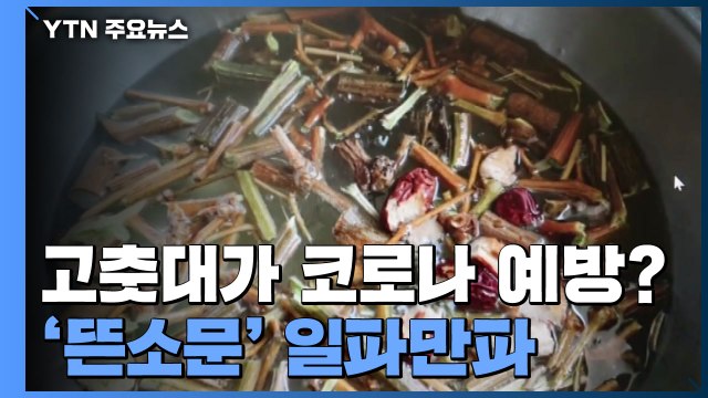 코로나19에 특효 고춧대 허위 광고 한의사·업체 적발 / YTN