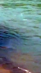 Water As Clear As Crystal