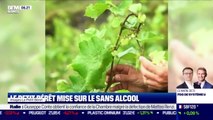 La France qui résiste : Le Petit Béret mise sur le sans alcool, par Justine Vassogne - 19/01