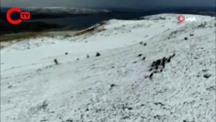 Elazığ’da domuz sürüsünün kaçışları drone ile böyle görüntülendi