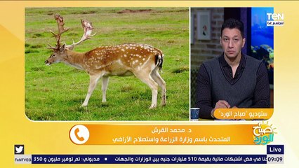 صباح الورد | وزارة الزراعة تضع خطة لحماية الحيوانات المهددة بالانقراض والإكثار منها