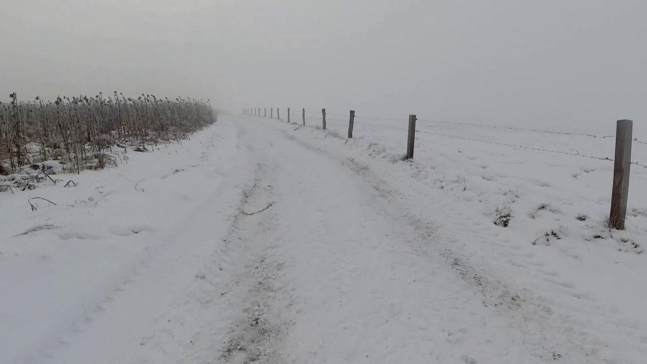 24km Eisnebellauf Aßling 10 Jan 21