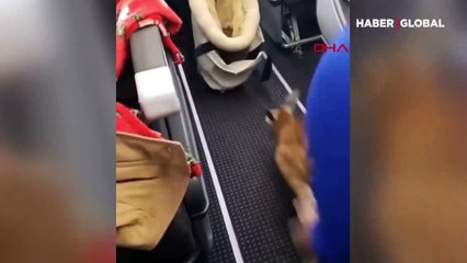 En sıra dışı yolcu kamerada