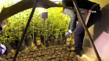 Polisleri bile şaşkına çeviren görüntü... Evini uyuşturucu tarlasına çevirip, güneş panelleriyle ısıtmış