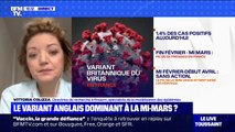 Vittoria Colizza (directrice de recherche à l'Inserm): 