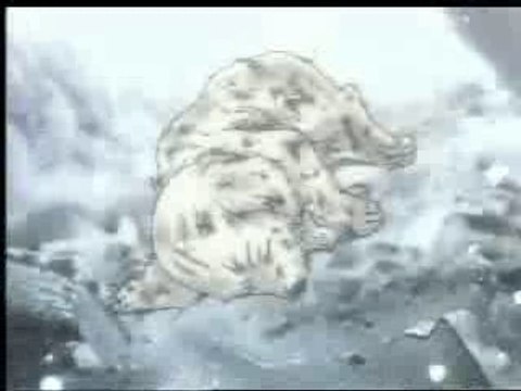 AMV Gundam Wing - Last resort Papa Roach