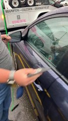 Professional Unlocks Car Without a Key in Seconds