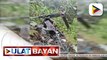 #UlatBayan | Problema sa makina, posibleng sanhi ng pagbagsak ng helicopter sa Bukidnon batay sa distress call; tatlong miyembro ng PHL Army, dalawang piloto at dalawang gunner ng PHL Air Force, kabilang sa nasawi