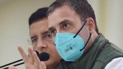Who is he? Is he my professor: Rahul Gandhi on JP Nadda