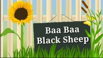 Baa baa black sheep sing along,baa baa black sheep, baa baa white sheep , nursery rhyme