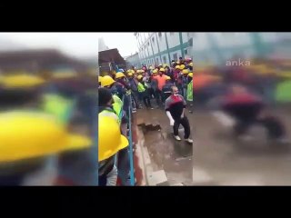 Yemeklerden çıkan böcek isyan ettirdi