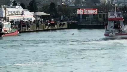 Kadıköy-Adalar vapurunda intihar girişimi