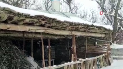 - Bahçesaray’da 70 yerleşim yeri ulaşıma kapandı