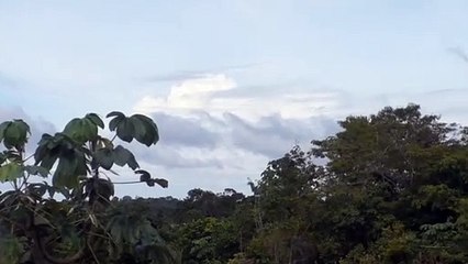 Boeing 737-800 PR-GGJ na aproximação final antes de pousar em Manaus vindo de Fortaleza