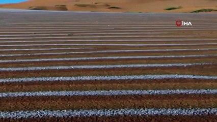 - Sahra çölüne kar yağdı