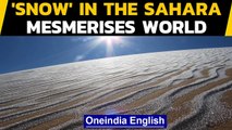 Snow' in Sahara makes amazing pattern on dunes: Watch | Oneindia News