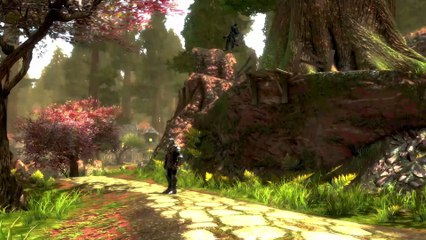 Kingdoms of Amalur: Re-Reckoning - Fecha en Switch