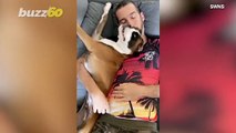 Nosey Dog! Funny Footage Shows Dog Licking Owners Nostril as They Cuddle!