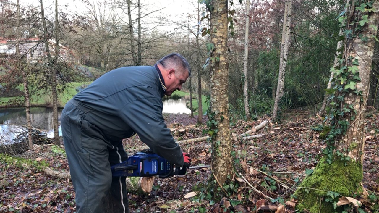 Coupe du bois l’hiver dans le bois de La Caillère