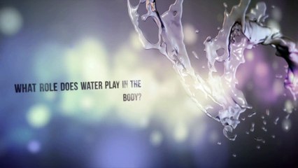 What Role does Water Play in the Body?