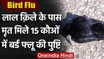 Bird Flu: Delhi के Red Fort में मृत पाए गए 15 Crows, बर्ड फ्लू की हुई पुष्टि | वनइंडिया हिंदी