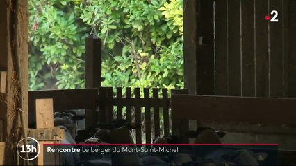 Manche : à la rencontre du berger du Mont-Saint-Michel