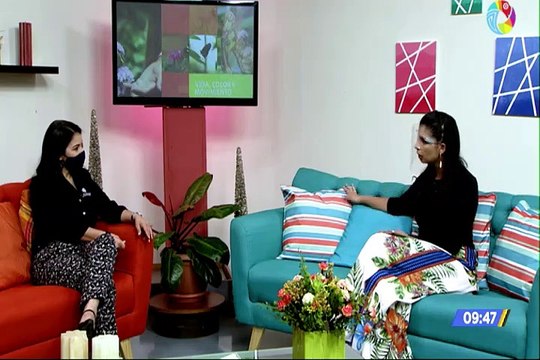 Cursos de verano del Museo Nacional