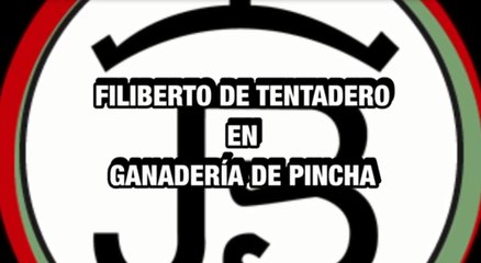 Filiberto en la Ganadería navarra de Pincha