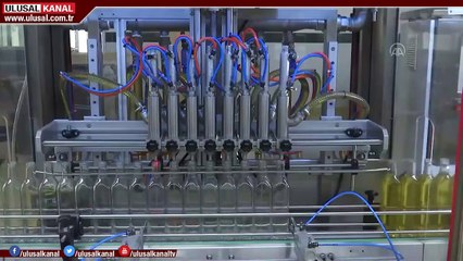 Zeytinyağı ihracatı yüzde 20 arttı