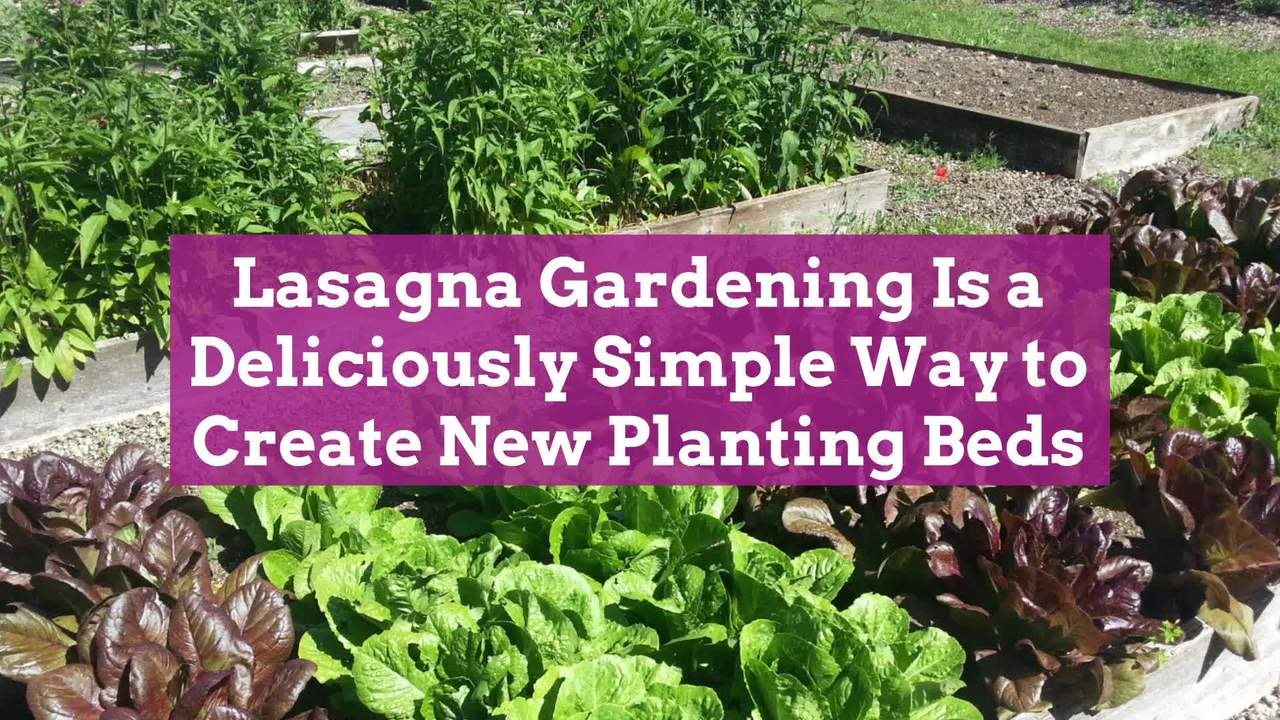Lasagna Gardening Is a Deliciously Simple Way to Create New Planting Beds