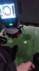 Cracking Ice Frightens Fisherman