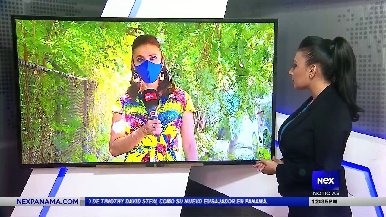 Vocero de Ricardo Martinelli reveló detalles de las arbitrariedades en el caso pinchasos - Nex Noticias