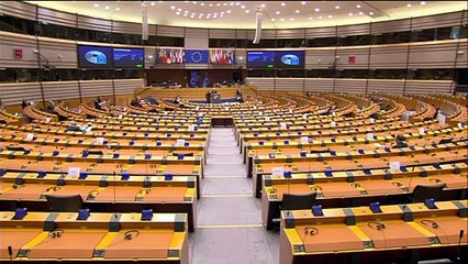 Rusia rechaza liberar a Navalni y este publica un vídeo sobre el supuesto enorme palacete de Putin