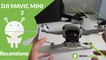 Recensione Mavic Mini 2: semplicemente il miglior mini-drone!