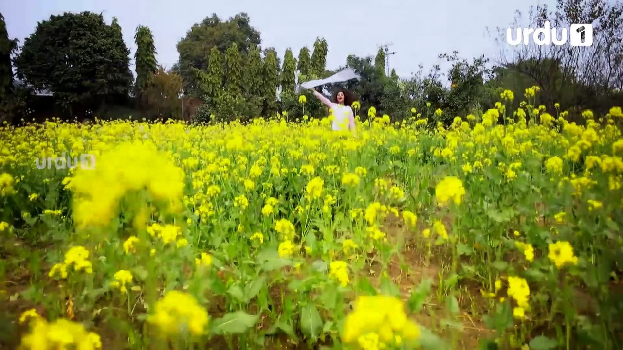 Kesi Ye Paheli  - Episode 10 | Urdu 1 Dramas | Sohai Ali Abro, Azfar Rehman, Sana Askari