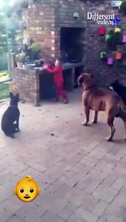 Dog Training for Kids