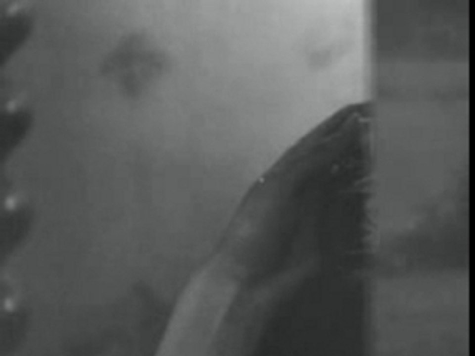 i0logic vs Dreyer_Vampyr (ciné concert)