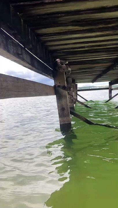 Jiboia é encontrada no píer da Ermida Dom Bosco